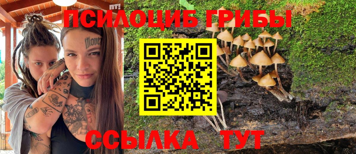 Лыткарино  Галлюциногенные грибы MAGIC MUSHROOMS  Вход с VPN 